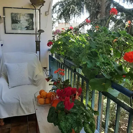 Or Congress, Centre - *