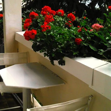 Or Congress, Centre - Apartman Cannes