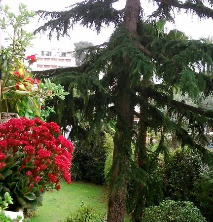 Or Congress, Centre - Apartment Cannes