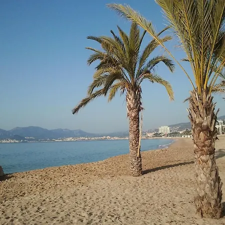 Holiday Or Congress, Centre - Beach